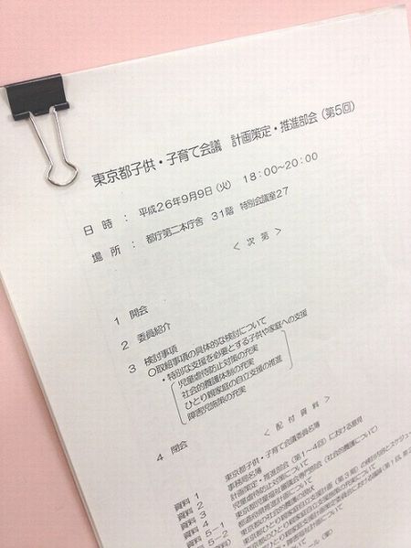 子供子育て会議にて「ひとり親家庭の環境改善」に関する提言を行いました。